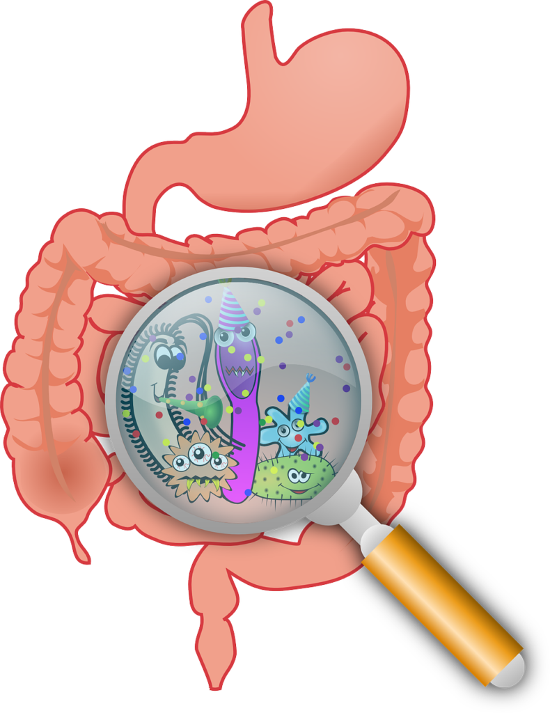 Gut Health: The Key to Overall Well-being