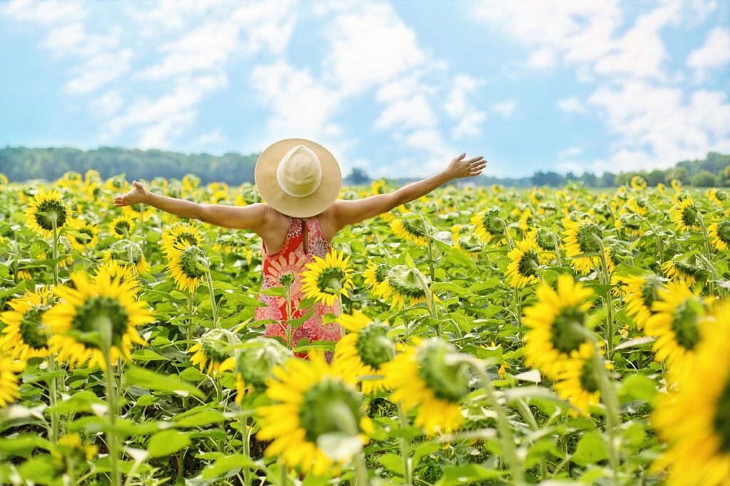 Sunflower Seeds: The Tiny Superfood You Need